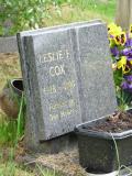 image of grave number 147859